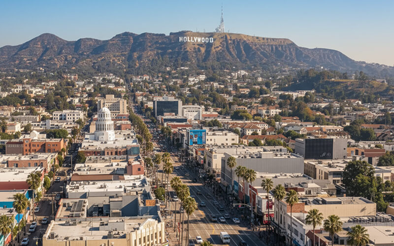 Rooted in the Hollywood Community